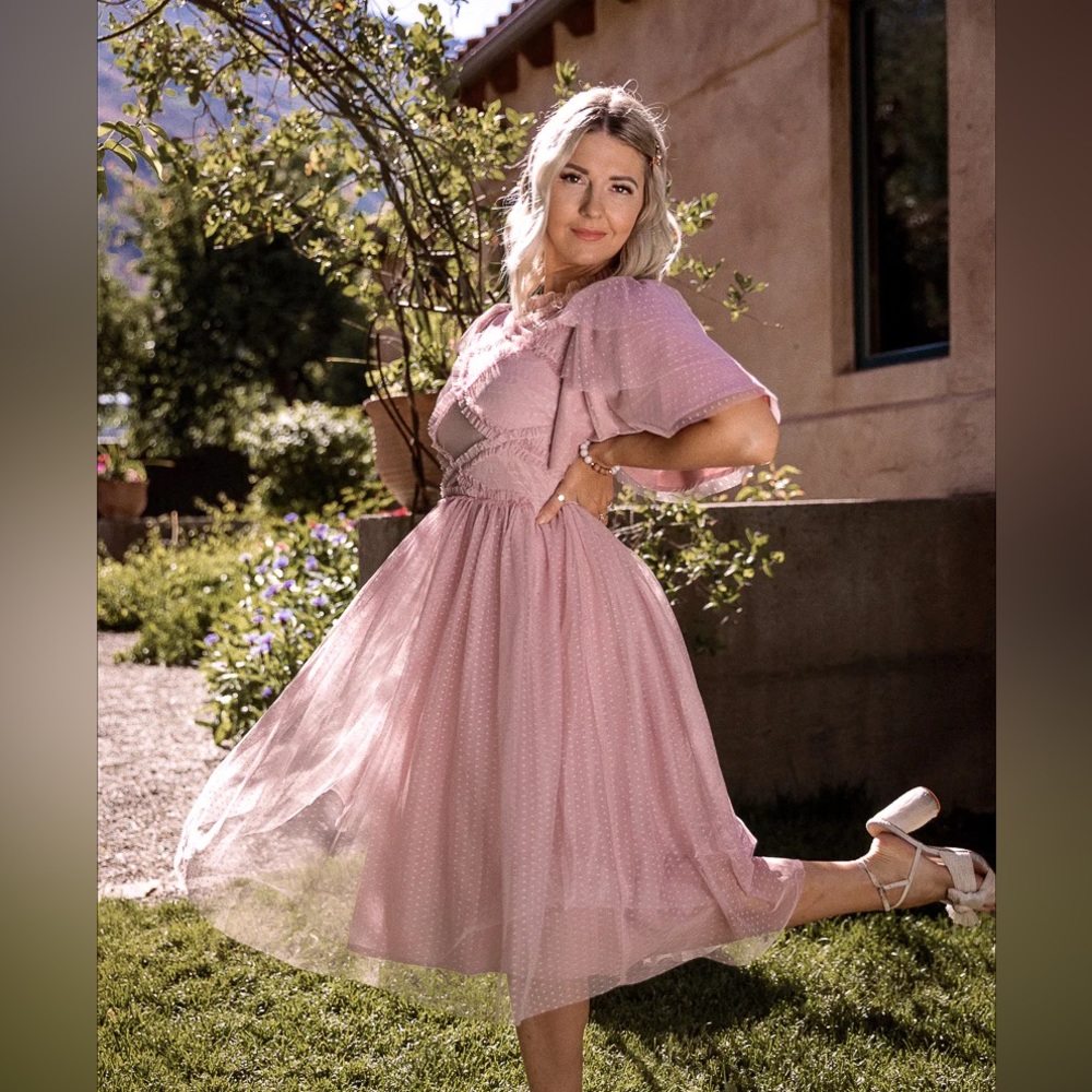 NWT Ivy City Co Tara Blush Tulle Dress Size Medium